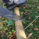 A person cutting a tree branch with a saw